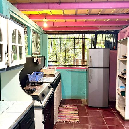 Hidden Jungle Beach House Puerto Viejo de Talamanca المظهر الخارجي الصورة