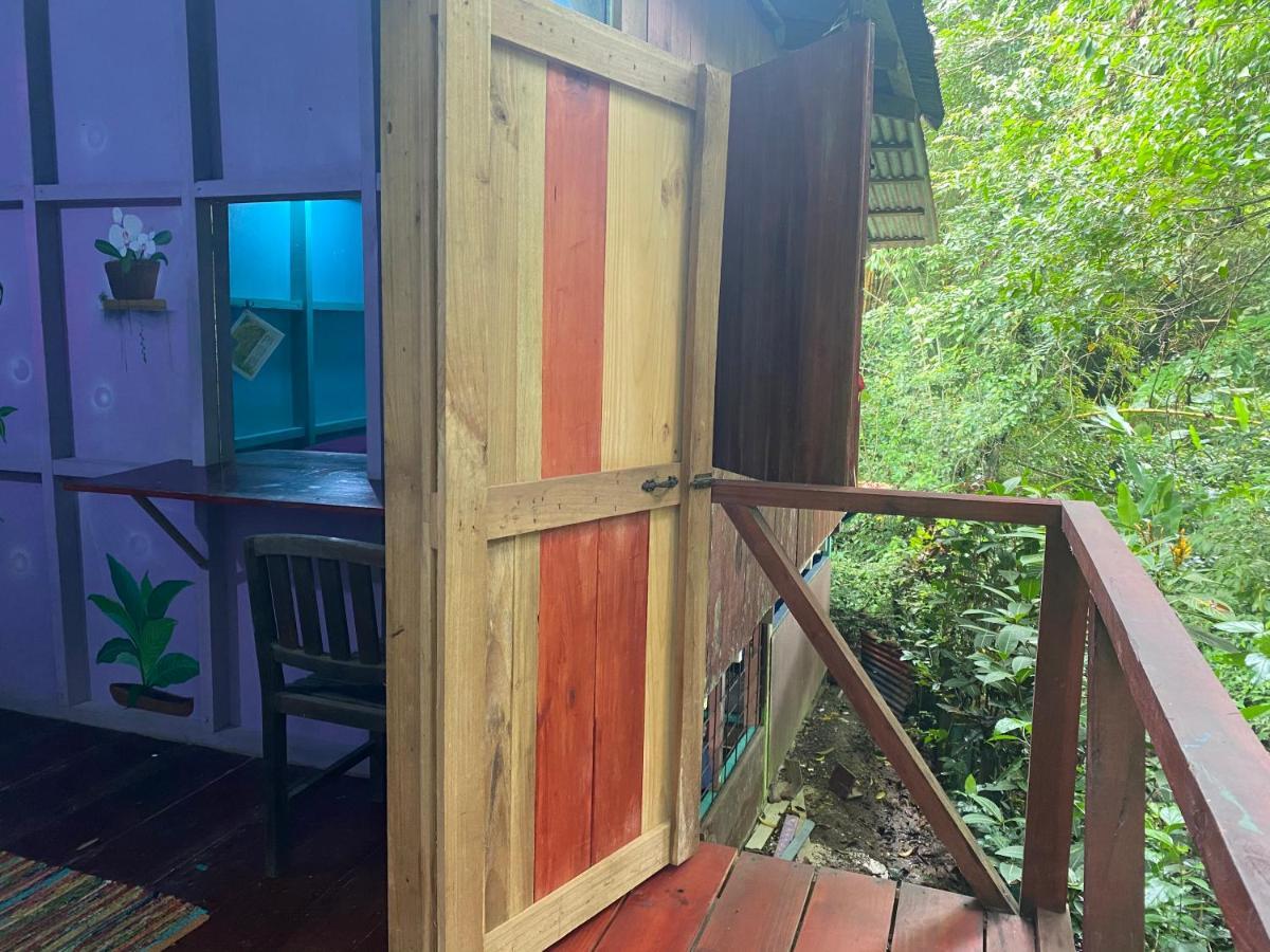 Hidden Jungle Beach House Puerto Viejo de Talamanca المظهر الخارجي الصورة