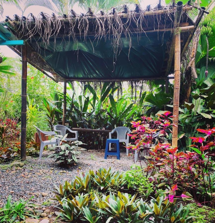 Hidden Jungle Beach House Puerto Viejo de Talamanca المظهر الخارجي الصورة