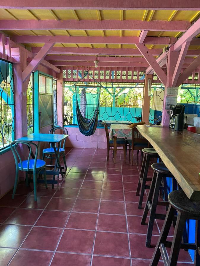 Hidden Jungle Beach House Puerto Viejo de Talamanca المظهر الخارجي الصورة