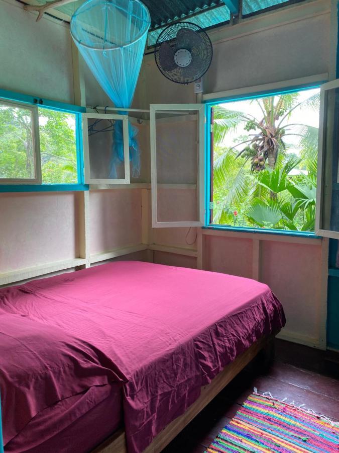 Hidden Jungle Beach House Puerto Viejo de Talamanca المظهر الخارجي الصورة