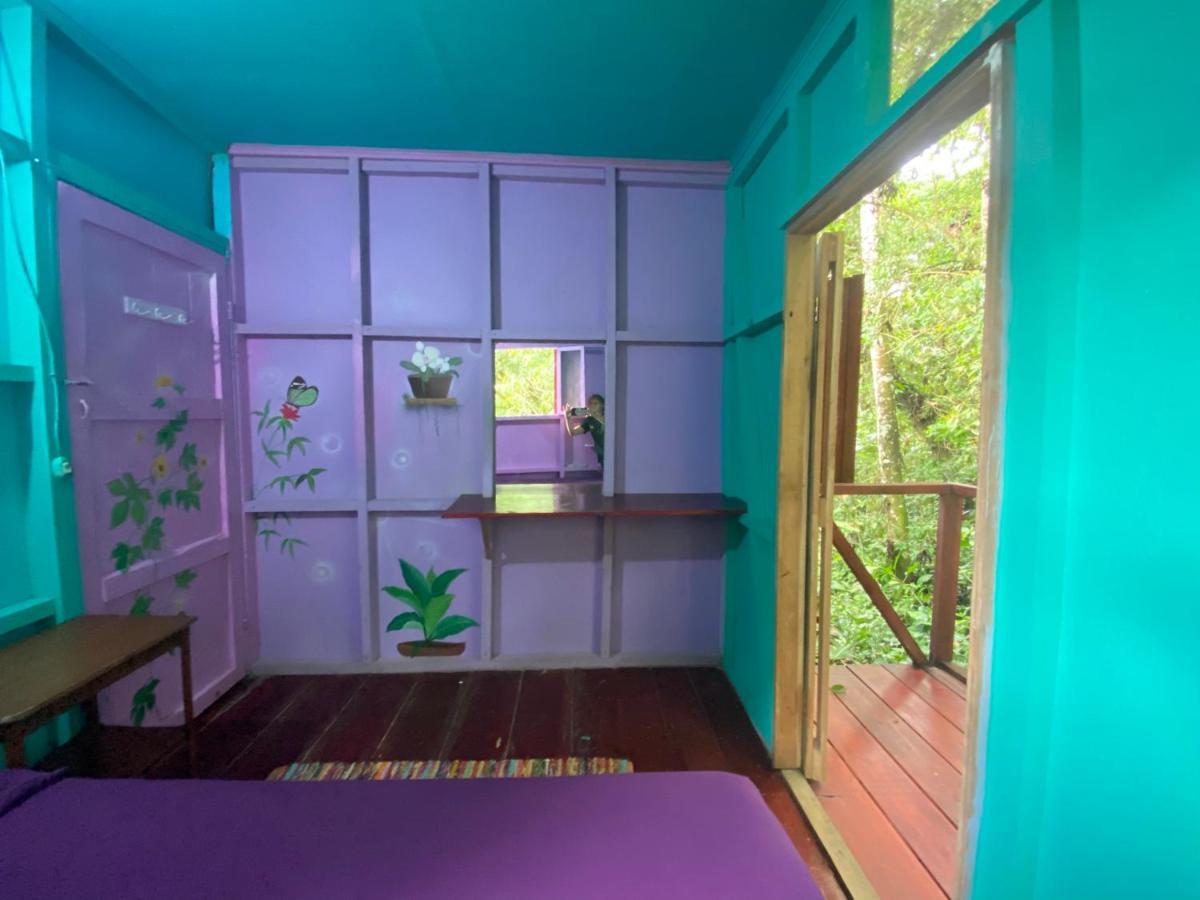 Hidden Jungle Beach House Puerto Viejo de Talamanca المظهر الخارجي الصورة