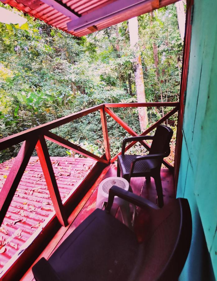 Hidden Jungle Beach House Puerto Viejo de Talamanca المظهر الخارجي الصورة