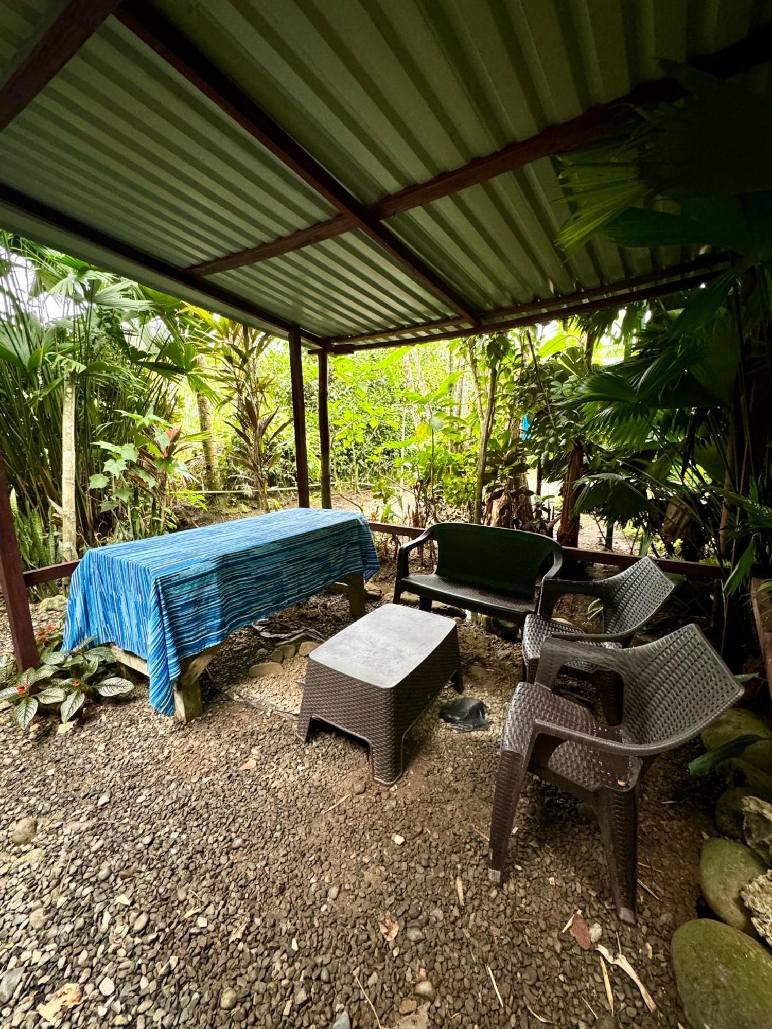 Hidden Jungle Beach House Puerto Viejo de Talamanca المظهر الخارجي الصورة