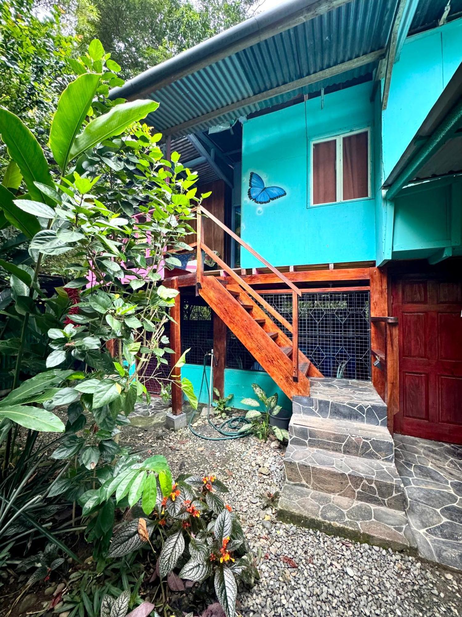 Hidden Jungle Beach House Puerto Viejo de Talamanca المظهر الخارجي الصورة