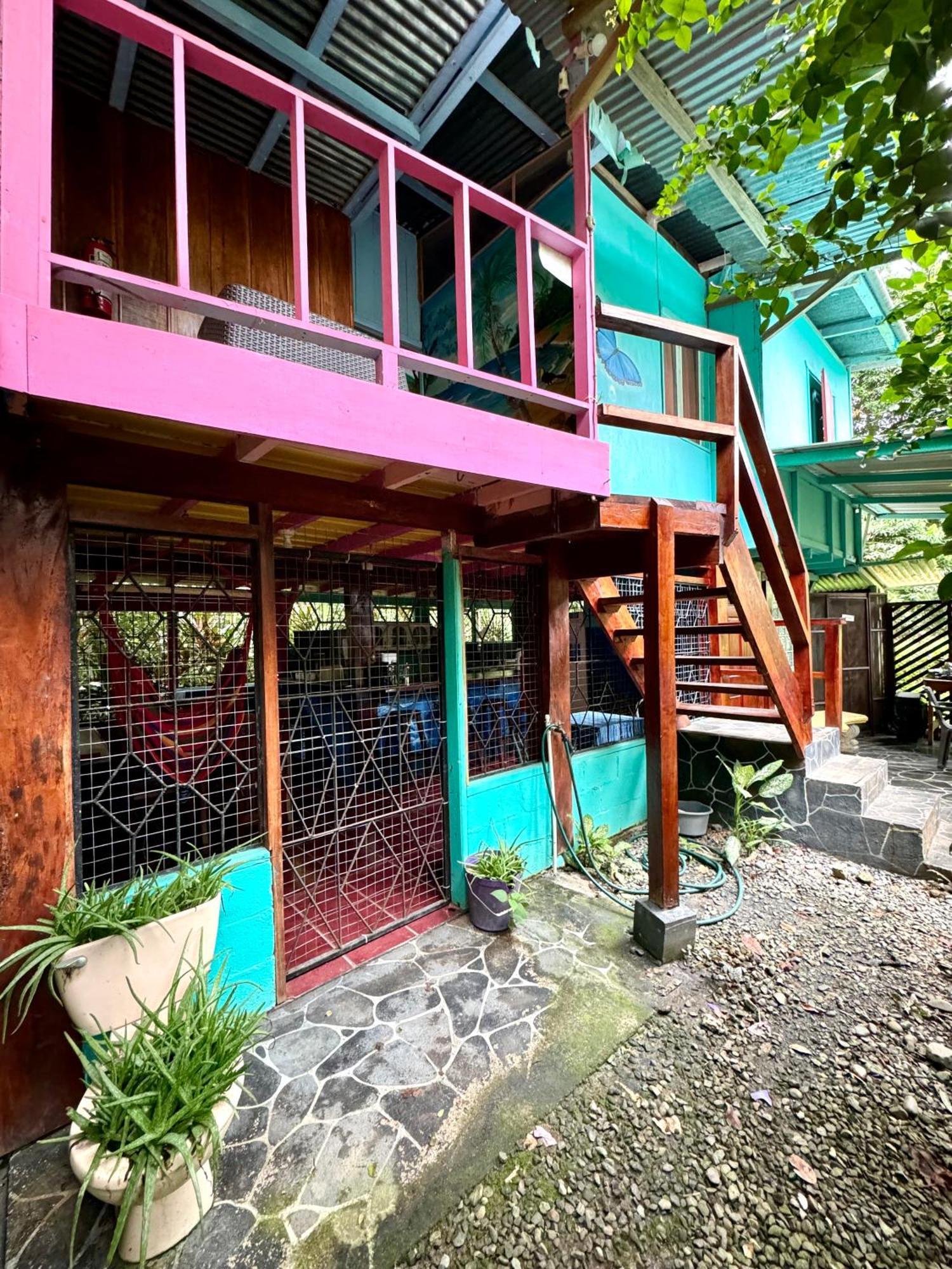 Hidden Jungle Beach House Puerto Viejo de Talamanca المظهر الخارجي الصورة