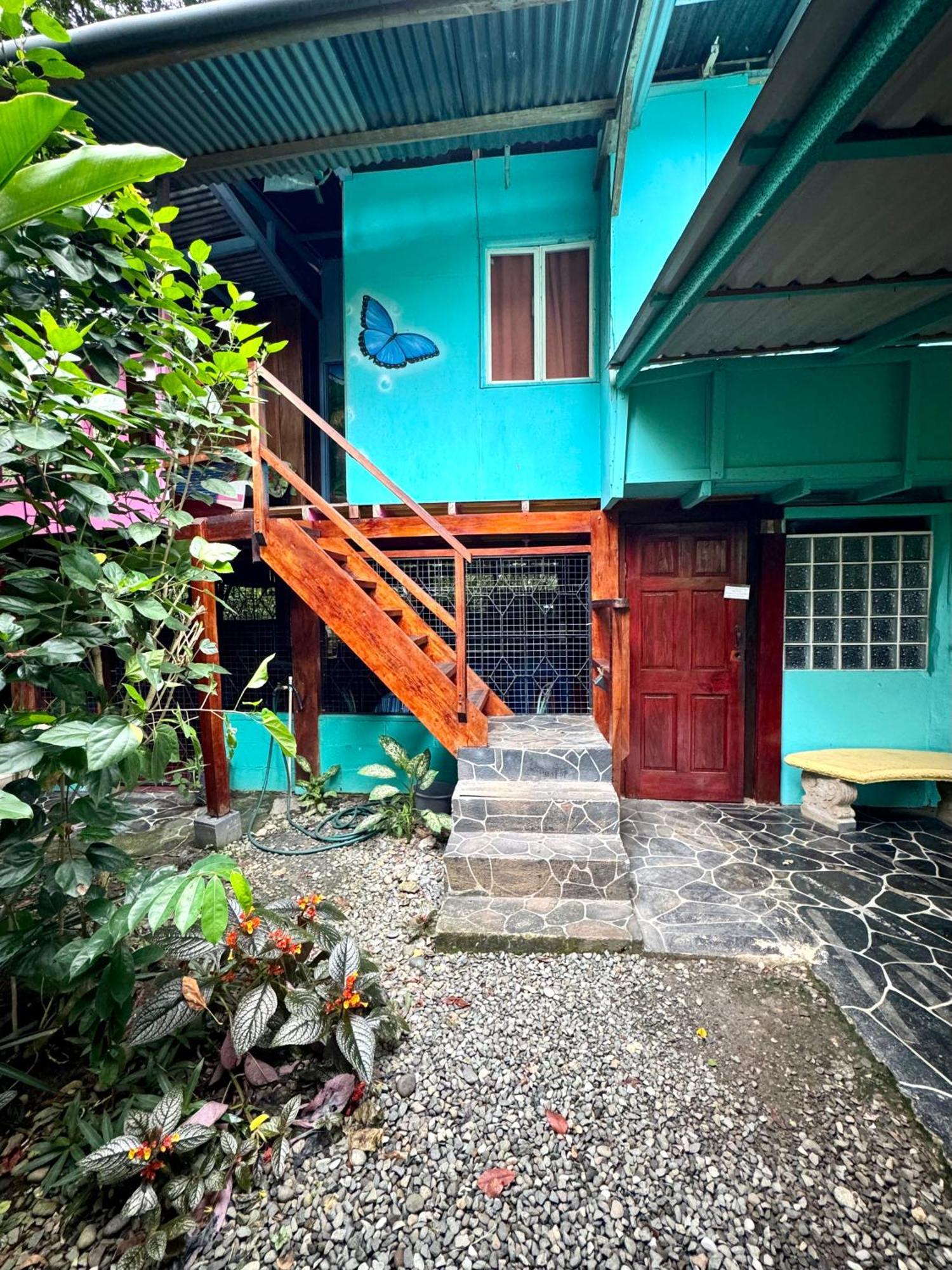 Hidden Jungle Beach House Puerto Viejo de Talamanca المظهر الخارجي الصورة
