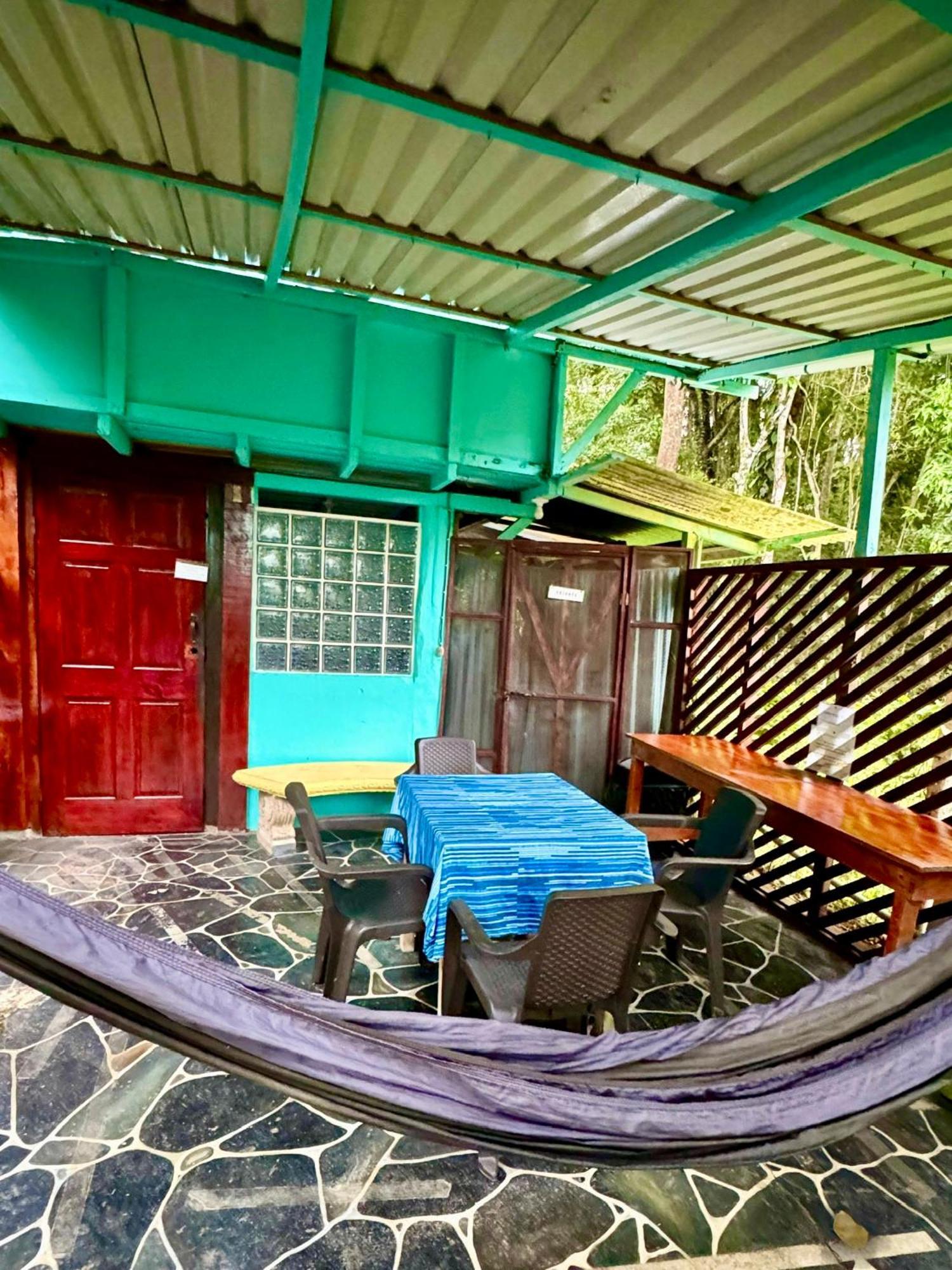 Hidden Jungle Beach House Puerto Viejo de Talamanca المظهر الخارجي الصورة