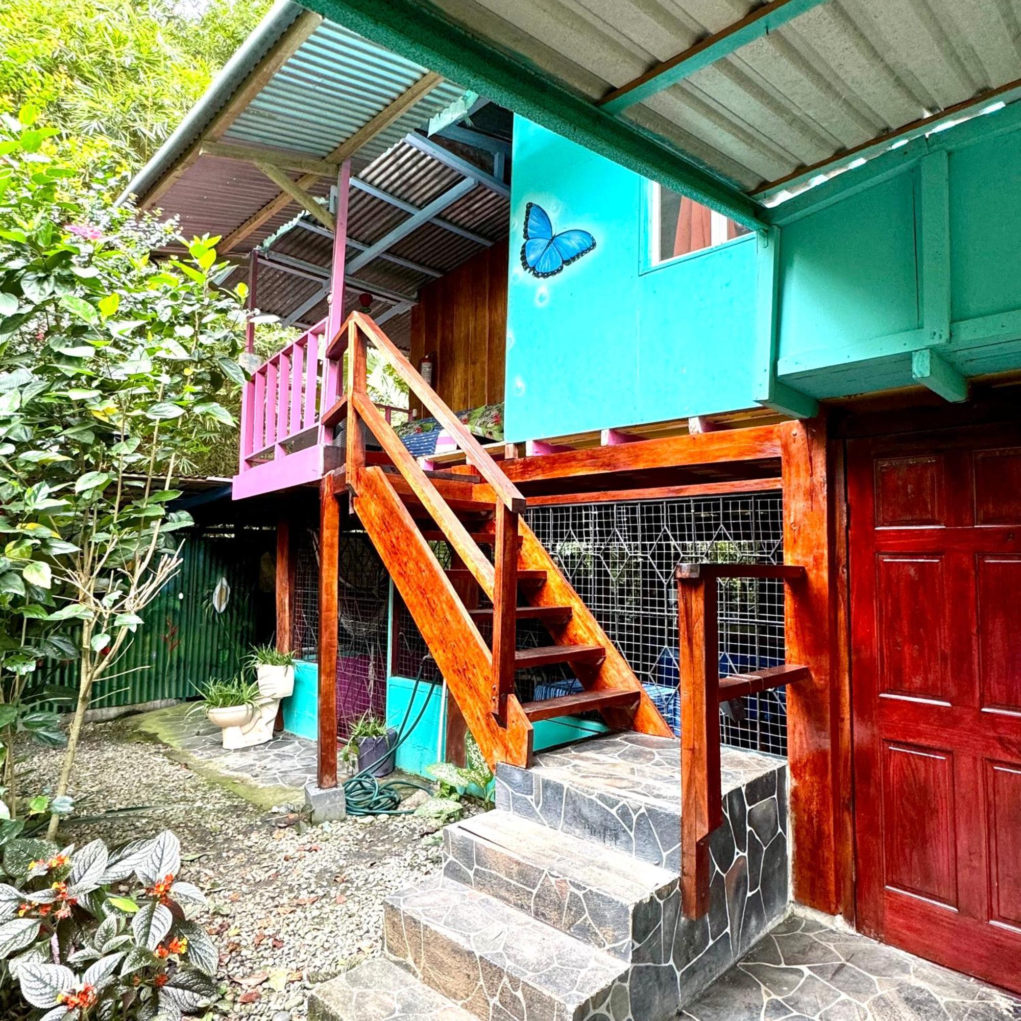 Hidden Jungle Beach House Puerto Viejo de Talamanca المظهر الخارجي الصورة