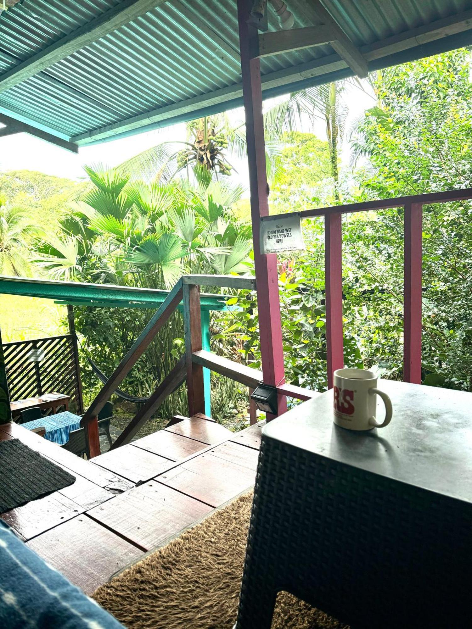 Hidden Jungle Beach House Puerto Viejo de Talamanca المظهر الخارجي الصورة