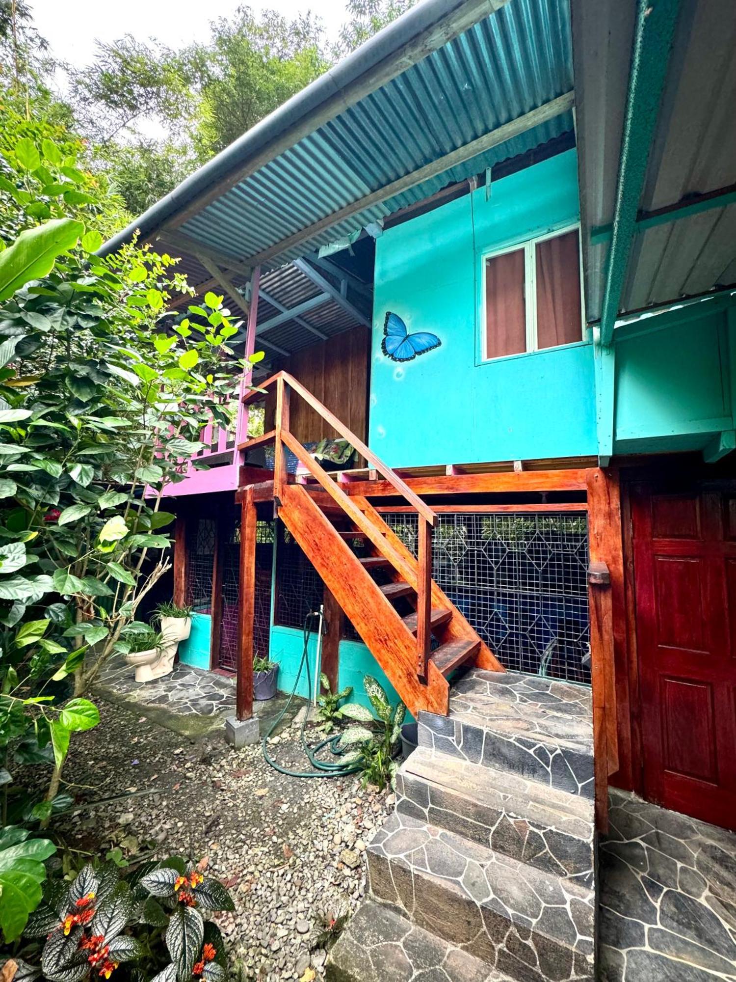 Hidden Jungle Beach House Puerto Viejo de Talamanca المظهر الخارجي الصورة