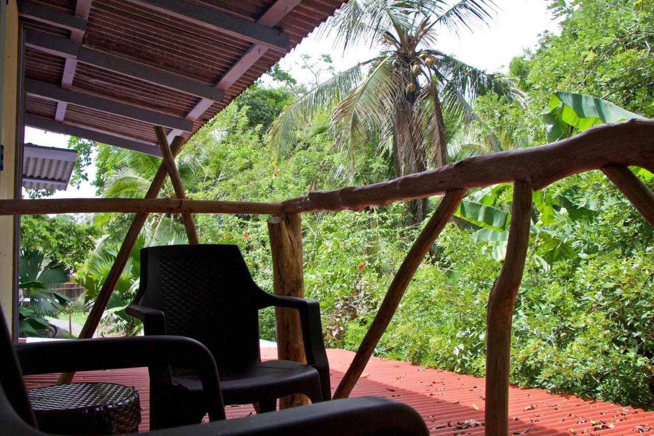 Hidden Jungle Beach House Puerto Viejo de Talamanca المظهر الخارجي الصورة